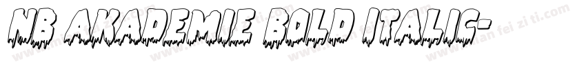 NB Akademie Bold Italic字体转换